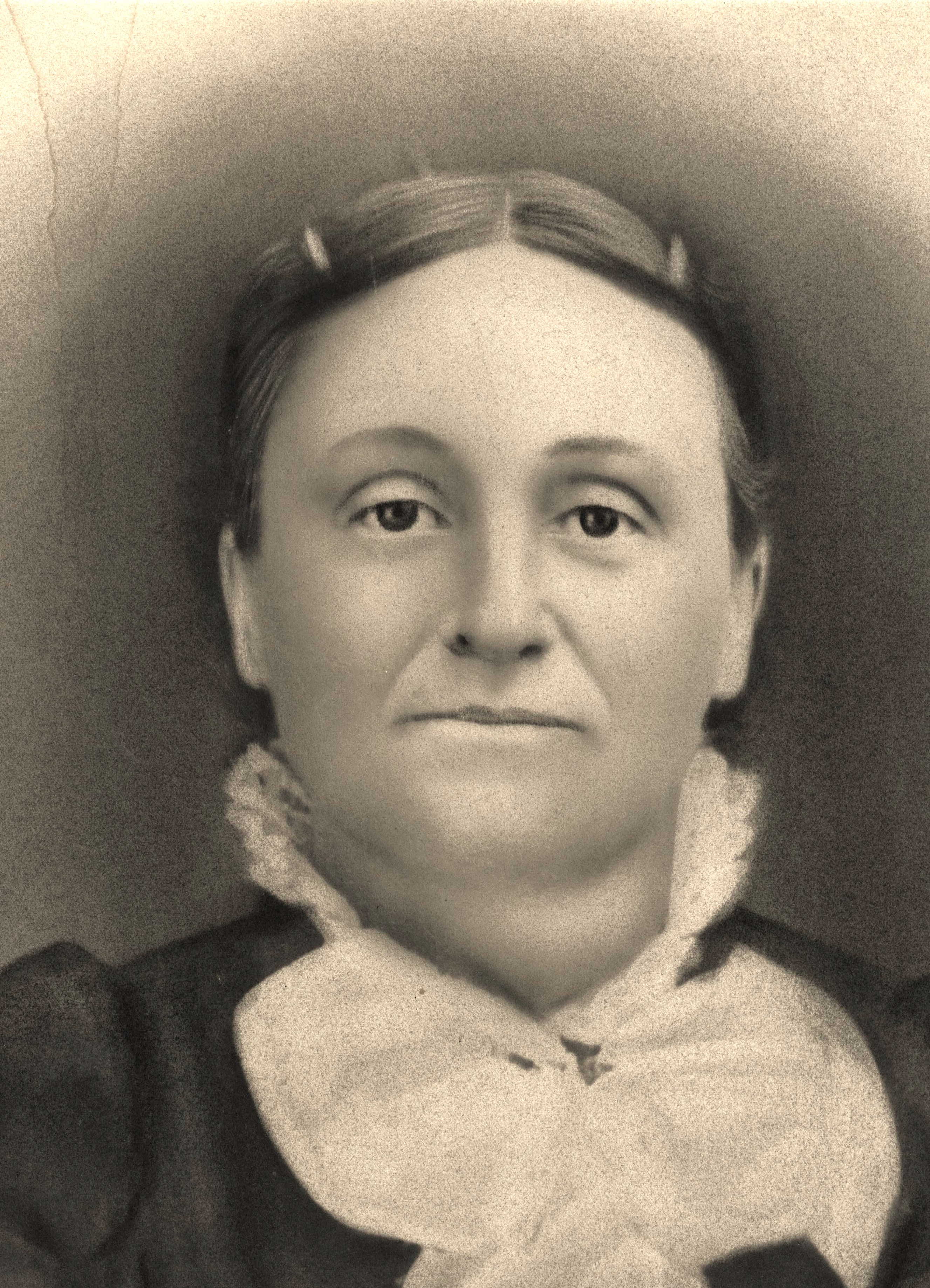 Rosa Jarvis (1849 - 1938) Profile